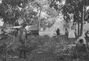 Im Matimba Lager : Savannenlandschaft mit Bäumen. Das Expeditionsteam bereitet den Lagerplatz vor. Hennig beobachtet alles