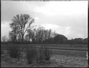 Beiertheim Landschaftsbild