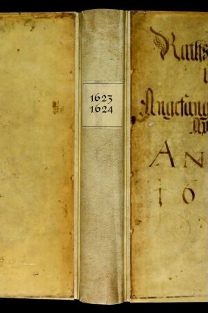 Ratsprotokolle, 1623 Juli 29. - 1624 Juli 22.