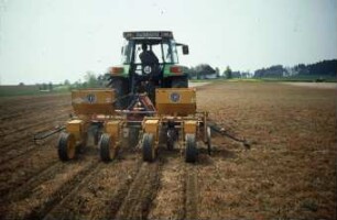Fotografie: Säverfahren, Einzelkornsaat, Zuckerrübe, Mulchsaat, Zwischenfrucht