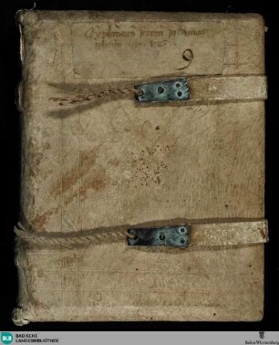 Hieronymi commentarius in Amos - Cod. Aug. perg. 257