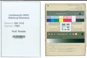 Entnazifizierung Rosalie Wulf , geb. 03.02.1894 (Geschaeftsinhaber)