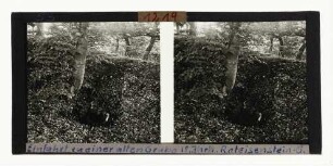 Einfahrt zu einer alten Grube (18. Jahrhundert) in einem Roteisenstein-Gang, Pickelsberg bei Fischbach, südliches Waldeck