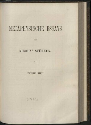 2: Metaphysische Essays