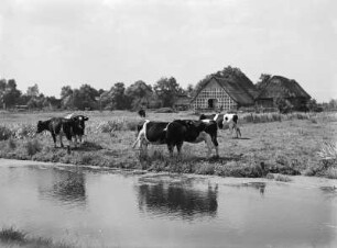 Bauernhof im Alten Land