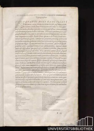 Typographus