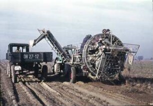 Kartoffelsammelroder Typ E 675 im Einsatz
