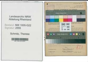 Entnazifizierung Therese Schmitz , geb. 03.10.1894 (Geschaeftsinhaberin)
