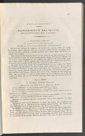 Divisio secunda. Radiariorum Reluquiae.