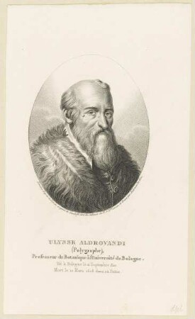 Bildnis des Ulysse Aldrovandi
