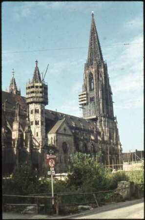 Das Freiburger Münster