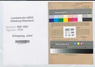Entnazifizierung Josef Schepping, geb. 26.11.1903 (Sachbearbeiter)