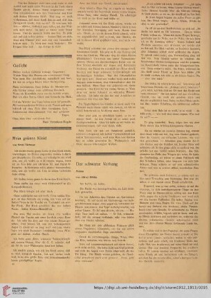 Der schwarze Vorhang, [10] : Roman