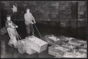 Mitarbeiter des Fischereimarktes Hamburg-Altona