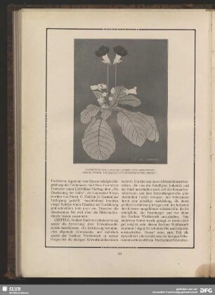Naturstudie