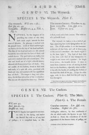 Genus VI. The Wryneck
