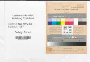 Entnazifizierung Robert Dellwig , geb. 10.11.1883 (Angestellter)