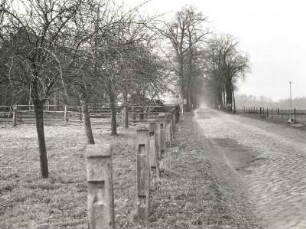 Altdöbern-Reddern, Hauptstraße. Ortsausgang in Richtung Altdöbern von Nordosten