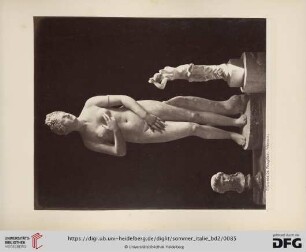 Musée de Naples. Venus