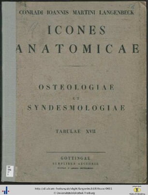 [4]: Icones anatomicae: Osteologiae Et Syndesmologiae : Tabulae XVII