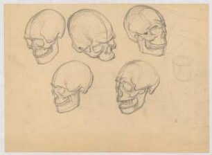 Anatomische Studien zum menschlichen Schädel : Fünf Darstellungen eines menschlichen Schädels aus verschiedenen Perspektiven