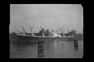 Belgrano (1953), Frachtschiff, HSDG, Hamburg, Bau-Nr. 435