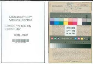 Entnazifizierung Josef Toelg , geb. 25.02.1906 ()