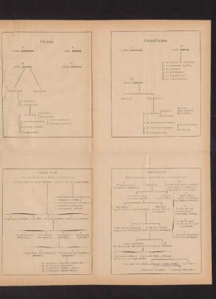 Schematische Darstellungen