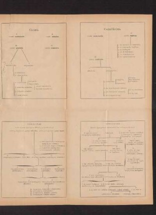 Schematische Darstellungen