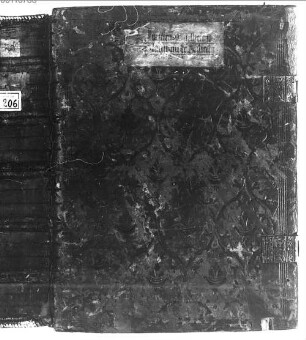 Calendarium medicinale per singulos menses - BSB Clm 206