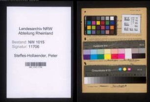 Entnazifizierung Peter Steffes-Hollaender , geb. 08.01.1903 (Ladeschaffner)