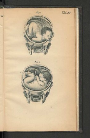 Taf. 18.