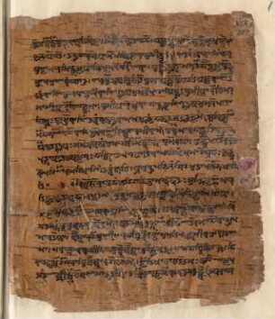 1r-33r, Atharvaveda, Paippalâda-çâkhâ