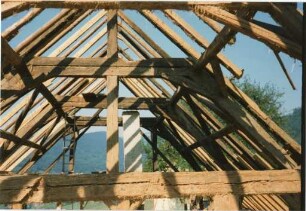 Schwarzwaldhaus Limberg 1