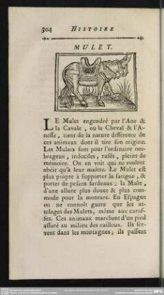 Mulet