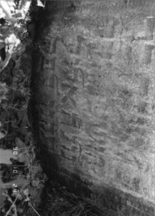 Grabstein 414 (Index: 100115654) Material: Sandstein Zustand: teilweise stark verwittert mit Textverlust Maße HxBxT: 81x56x14 cm Beschreibung: Stele mit eingezogenem Rundbogenabschluß, eingetieftes Schriftfeld Symbolik: Blüte: Grabstein 414B (Nachholaufnahme)