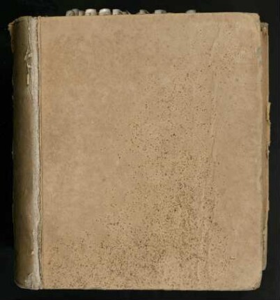 Facvltatis Ivridicae P. T. Decanvs Ioannes Christoph. Spitz, Ictvs, Eminentissimi Ac Celsissimi Principis Electoris Mogvntini Consiliarivs Regiminis, Memoratae Facvltatis Assessor Et Civitatis Erfordiensis Consvl Primarivs Lectori Benevolo S. P. D.[De jure dotis]