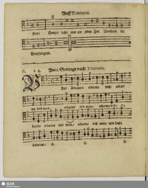 II. Am 1. Sontage nach Trinitatis. Vater Abraham erbarme dich mein