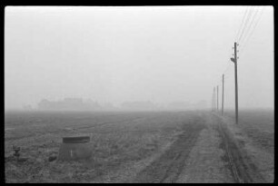 Feldweg im Nebel