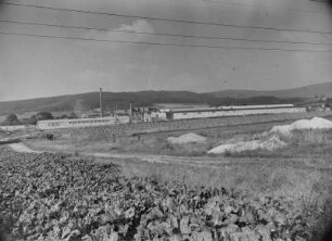 Weigersdorf. Blick über ein Feld auf die Motorenfabrik