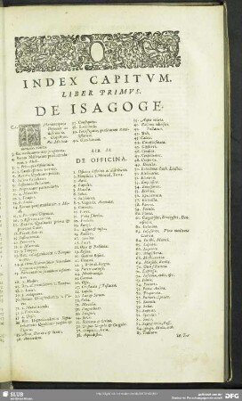 Index Capitum