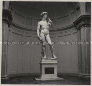 Florenz, Accademia delle Arti del Disegno (Galleria dellAccademia), Michelangelos David