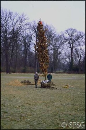 Potsdam, Neuer Garten, Pflanzen eines Baumes.