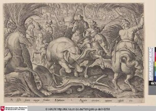 [Elephant hunt; Elefantenjagd]