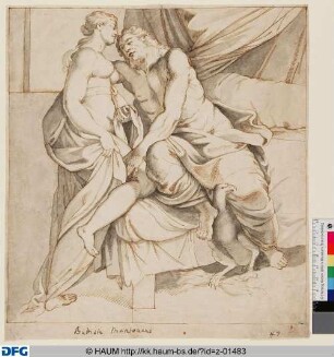Jupiter und Juno