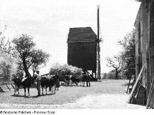 Bockwindmühle. Im Vordergrund Bauern mit Rindern sowie einem zweispännigen Rinderfuhrwerk mit Getreideladung