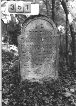Grabstein 351 (Index: 99799726) Material: Sandstein Zustand: stark verwittert Maße HxBxT: 97x50x8 cm Beschreibung: Stele, eingezogener Rundbogenabschluß, Schriftfeld eingetieft: Grabstein 351