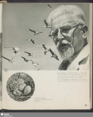 Der Ehrendoktor der Universität Jena Dr. h. c. Otto Leege-Juist, der Erforscher der Tier- und Pflanzenwelt auf den Inseln