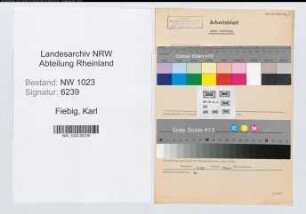 Entnazifizierung Karl Fiebig , geb. 21.11.1900 (Verw.Sekretaer)