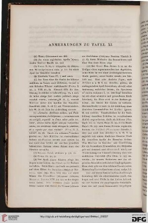Anmerkungen zu Tafel XI